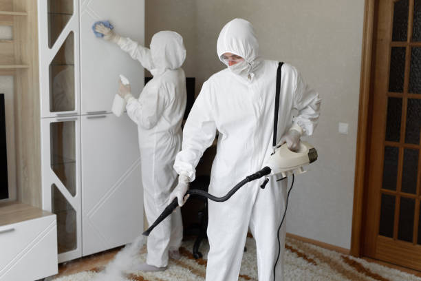 24/7 Emergency Odor Removal experts in McIntosh, FL