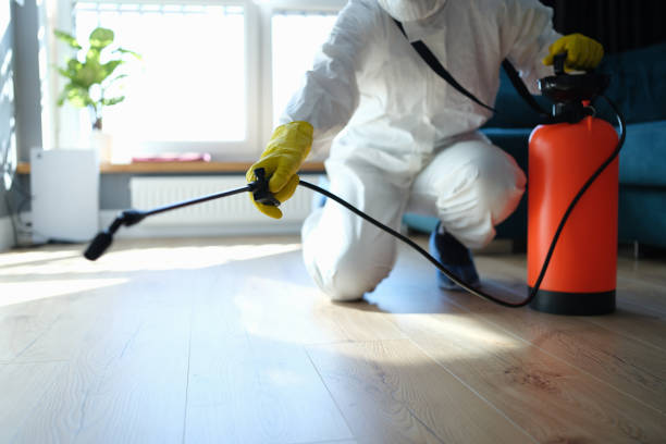 Reliable Odor Removal contractor in McIntosh, FL by Trauma Clean Pros